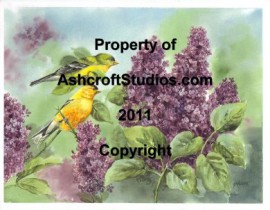 Goldfinches with Lilacs
